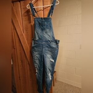 Blue Denim Overalls By Wallflower. Size Large. Like New